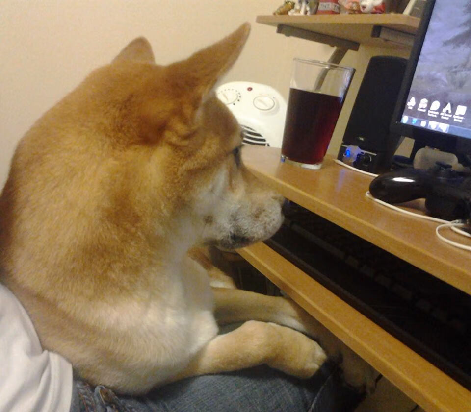 意甲一线战：乌拉圭锋将闪耀，带领球队打出漂亮开局，乌拉圭对意大利