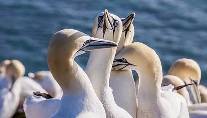 九游娱乐电竞站-媒体报道足球反腐进展，呼吁透明，足球反超经典比赛