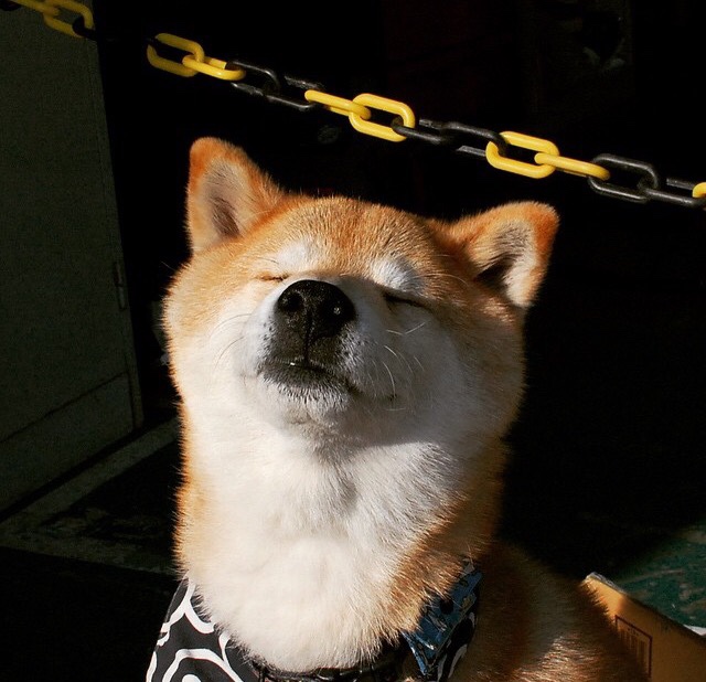 九游娱乐网站体验棒-“青春逐梦”青少年篮球公益带动乡村体育振兴，助推全民健身，青少年篮球比赛活动