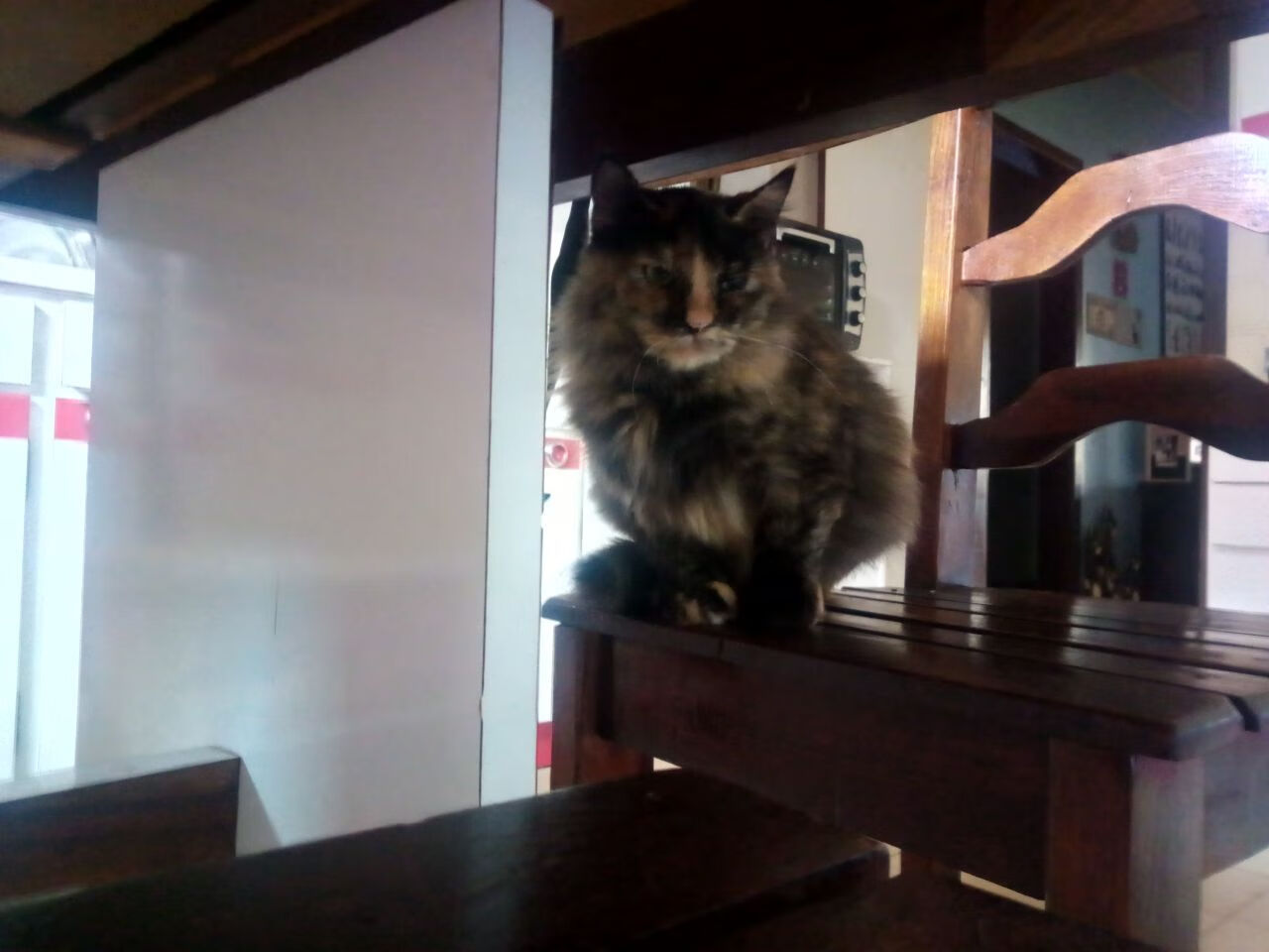 勇士与湾区高校共建数据科学实验室,用于战术研究