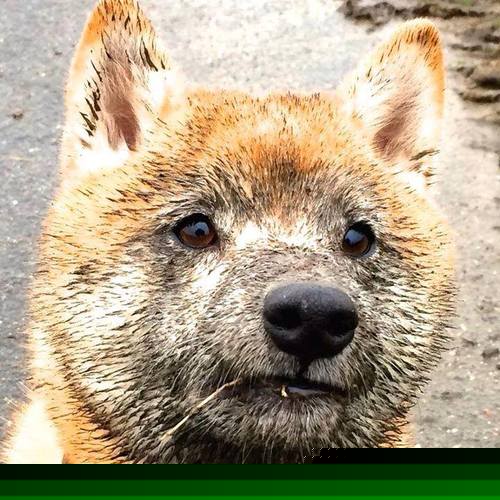 史上最震撼的“逆转战”，你看过哪一场？，电影逆转